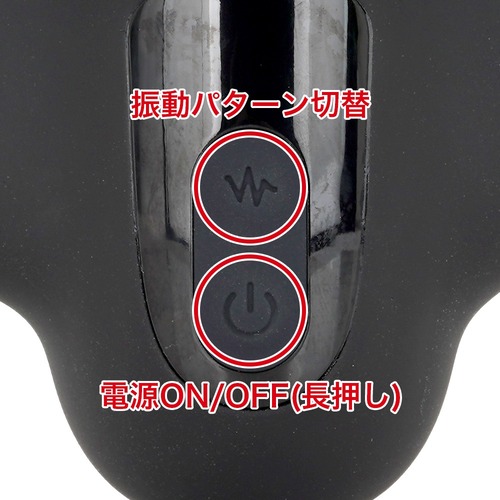 푸니아나 로이드 트레이닝 2