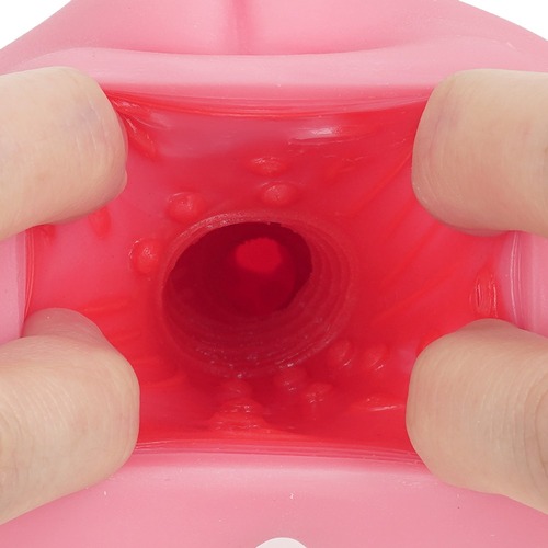 여자도감 미개발 A 해금 하드 버전