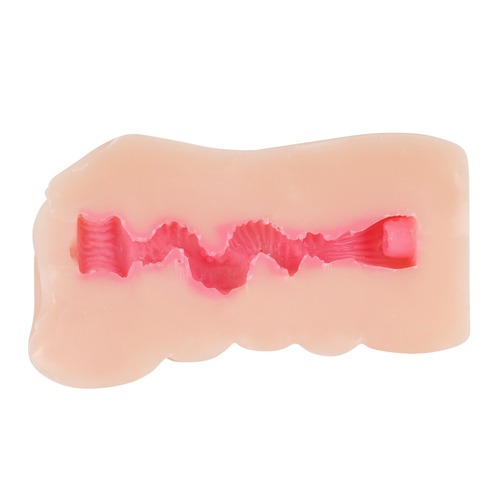 노팬티 청춘 치어걸