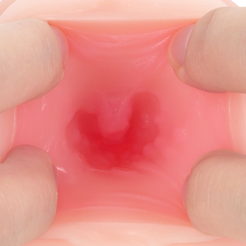 미안해요 청순 시스터