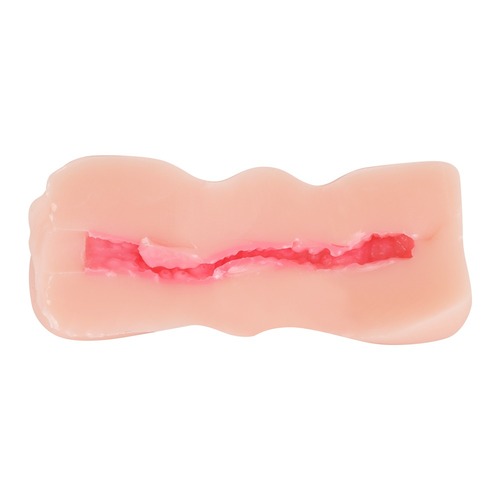 미안해요 청순 시스터