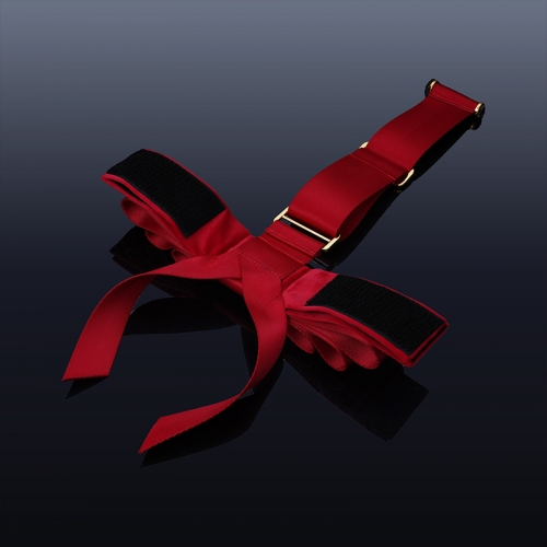 PPORTABLE BOWKNOT OVER THE DOOR HAND RESTRAINT GEAR