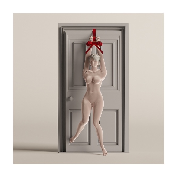 PPORTABLE BOWKNOT OVER THE DOOR HAND RESTRAINT GEAR