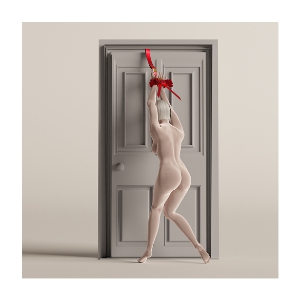 PPORTABLE BOWKNOT OVER THE DOOR HAND RESTRAINT GEAR