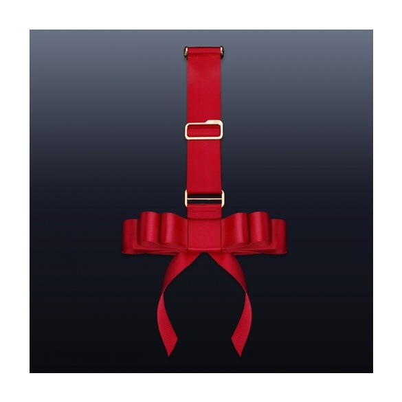 PPORTABLE BOWKNOT OVER THE DOOR HAND RESTRAINT GEAR