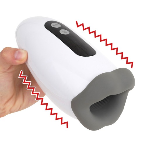 푸니아나 로이드 13 (일본정품)