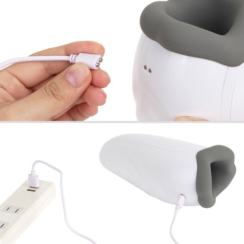 푸니아나 로이드 13 (일본정품)