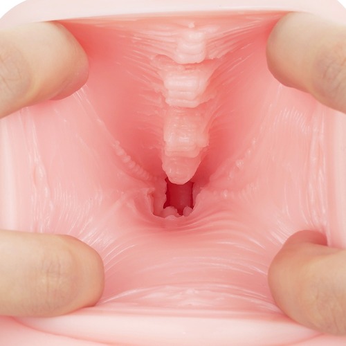 네토라레 음란 모럴