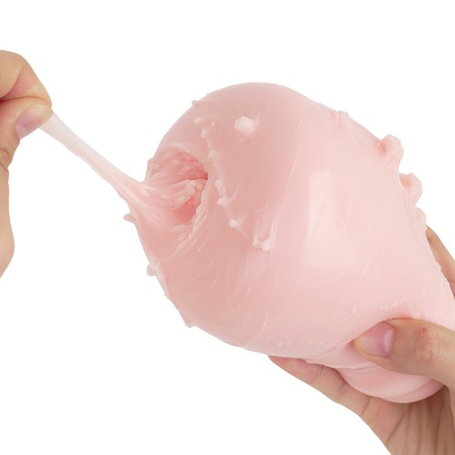 네토라레 음란 모럴