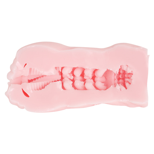 트루이보 화조풍월