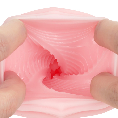 트루이보 화조풍월