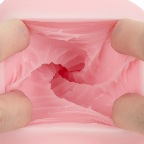 성숙한 돌기 라비린스