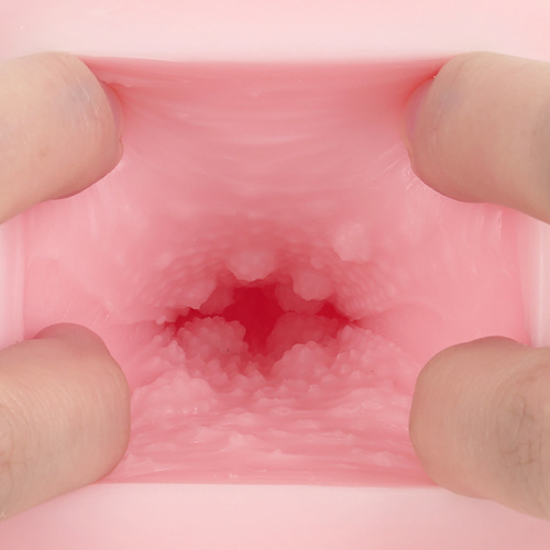 성숙한 돌기 라비린스