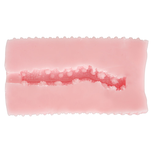 성숙한 돌기 라비린스