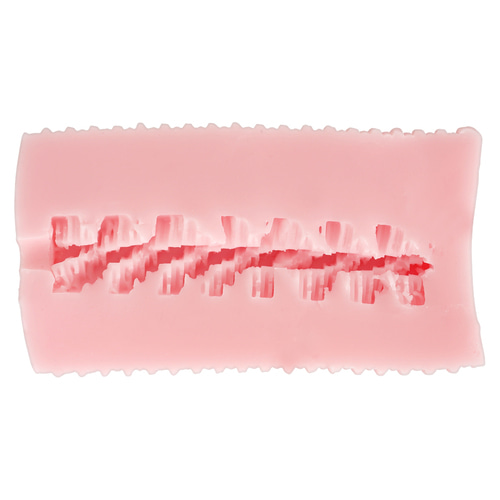 순수한 공주의 보호소