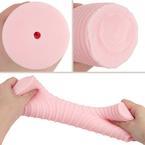 순수한 공주의 보호소