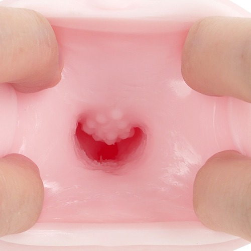 음욕 날개옷 선녀