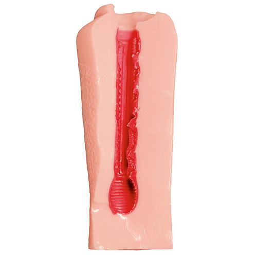 착한 아이 더 홀