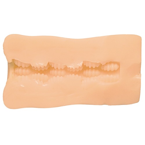 이 학교의 모든 여학생의 윗입과 아랫입은 무한 친교라는 걸 알고 있는 사람은 나뿐?! 더 홀