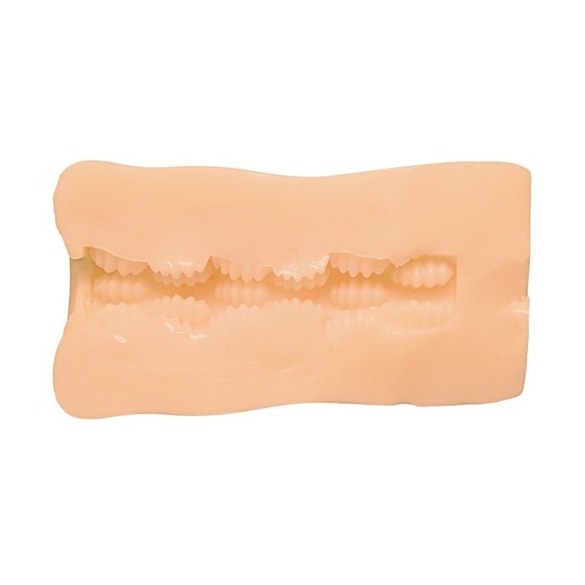 이 학교의 모든 여학생의 윗입과 아랫입은 무한 친교라는 걸 알고 있는 사람은 나뿐?! 더 홀