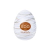 텐가 에그-실키 TENGA EGG-R06