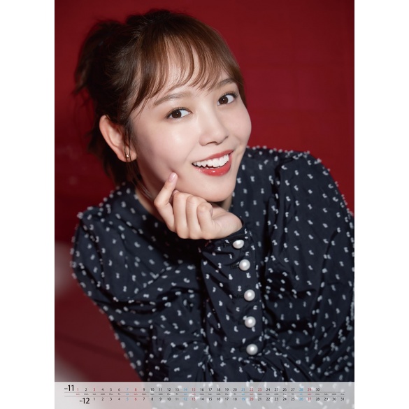 하야시 유카  2026년 벽걸이 달력