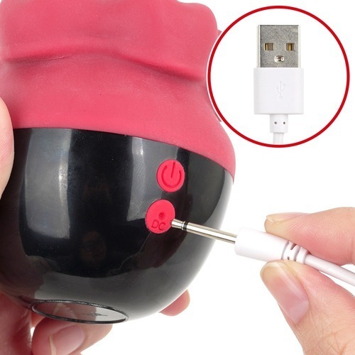 베로빗치 (일본정품)