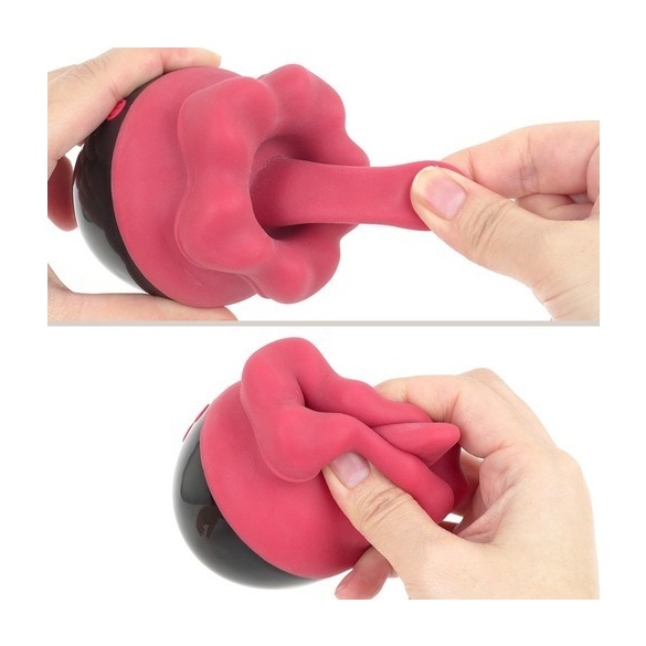 베로빗치 (일본정품)