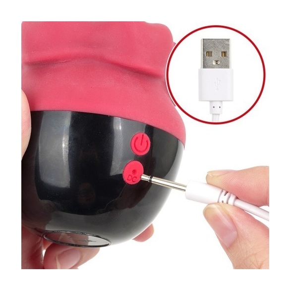 베로빗치 (일본정품)