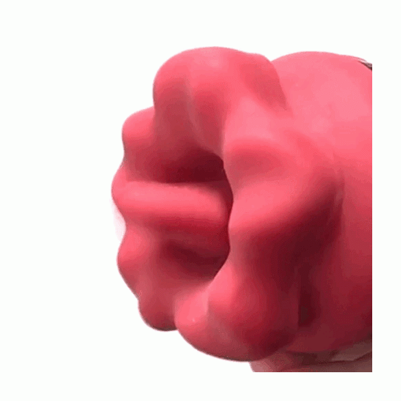 베로빗치 (일본정품)