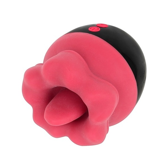 베로빗치 (일본정품)