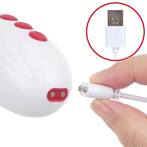 프리티 러브 대감사제 4P 체험 바이브 (일본정품)