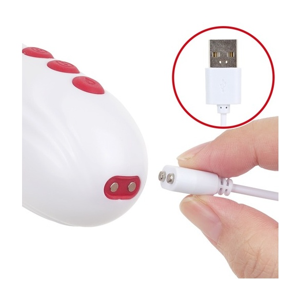 프리티 러브 대감사제 4P 체험 바이브 (일본정품)