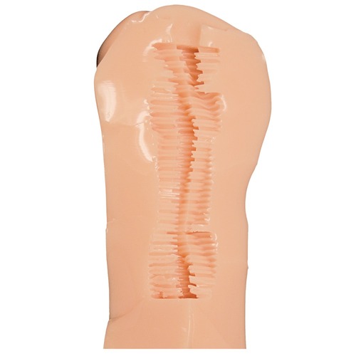 사진부에 입부했더니 미인 선배가 모델이 돼주기는커녕 유혹해옵니다만!?