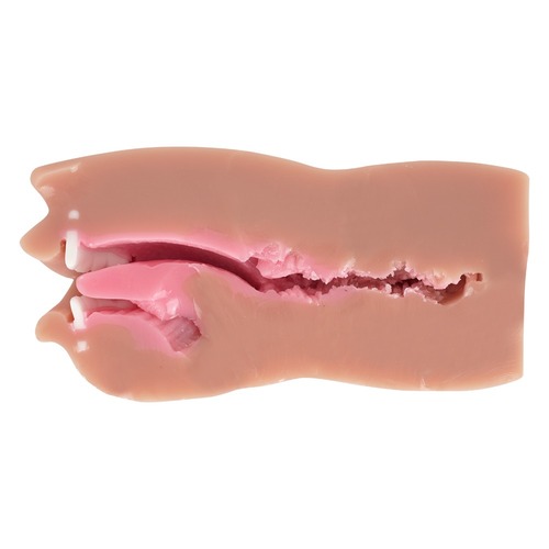 진실의 입 극상 로망 주의 아마가미 하드