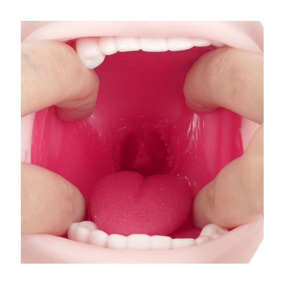 진실의 입 극상 로망 주의 아마가미 소프트