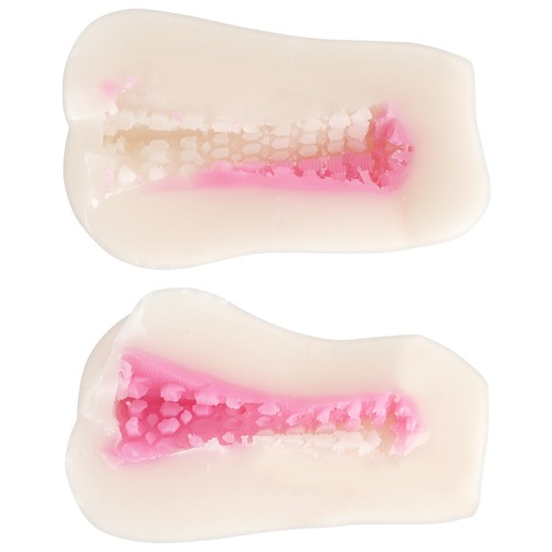 말랑 물컹 이중 돌기 키츠네