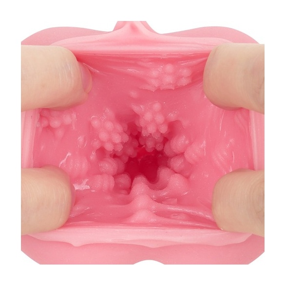 부치누키 명기 지렁이 천 마리