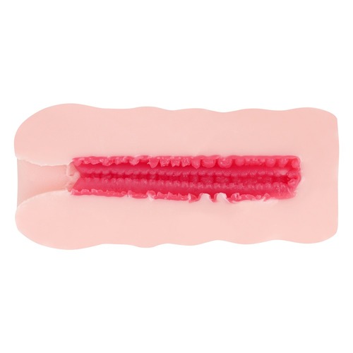 츤데레 메이드를 길들였다!