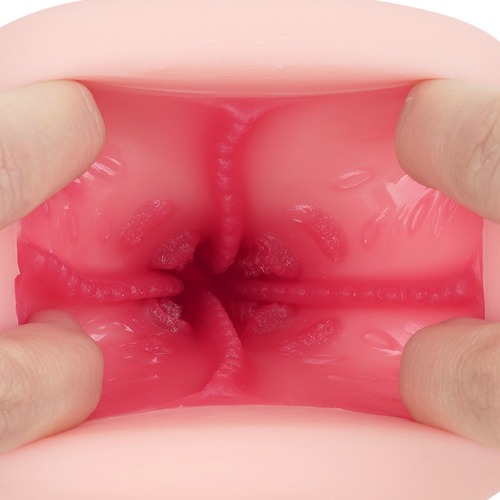 츤데레 메이드를 길들였다!