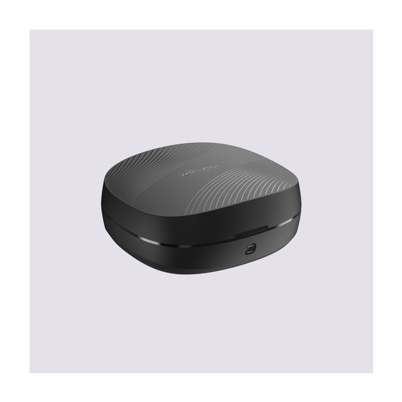 위바이브 코러스 프로(Chorus Pro)