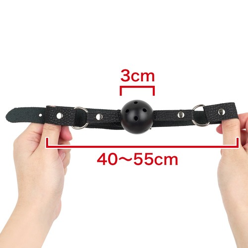 둘이서 녹아드는 비밀의 시간 소프트 SM 4종 세트 (일본정품)