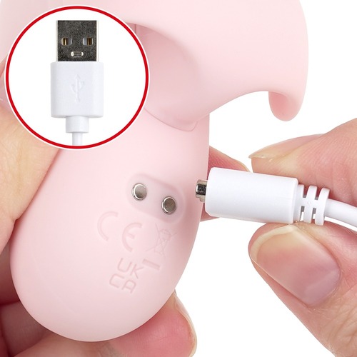 쿠리이키나 (일본정품)