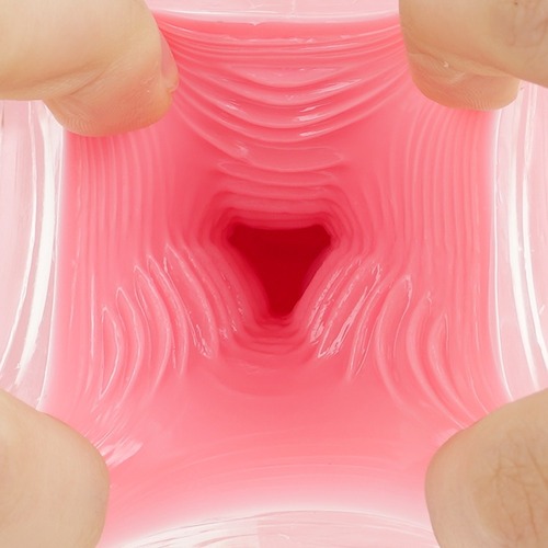 레벨 99 한계돌파 엑스트라 버큠