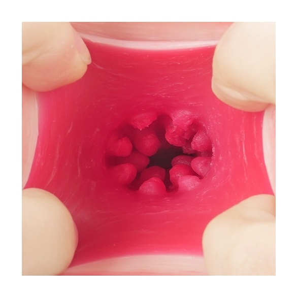 명기창생 2 타나카 레몬