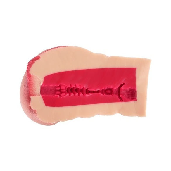 명기창생 2 타나카 레몬