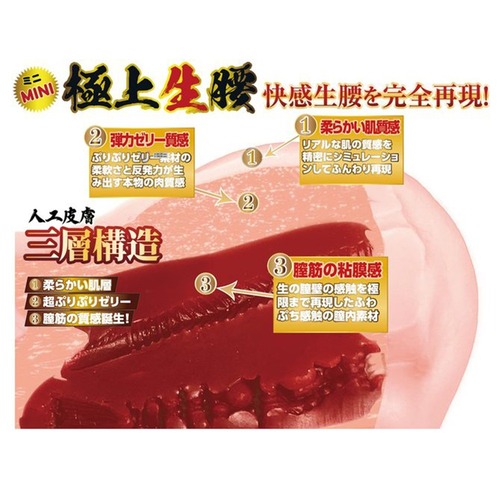 극상 생엉덩이 미니 모리 히나코