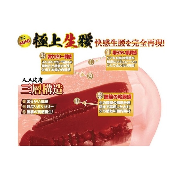 극상 생엉덩이 미니 모리 히나코