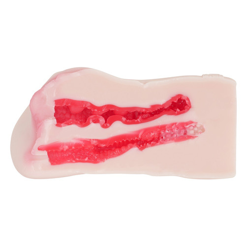 명기의 증명 파일 016 마츠모토 이치카