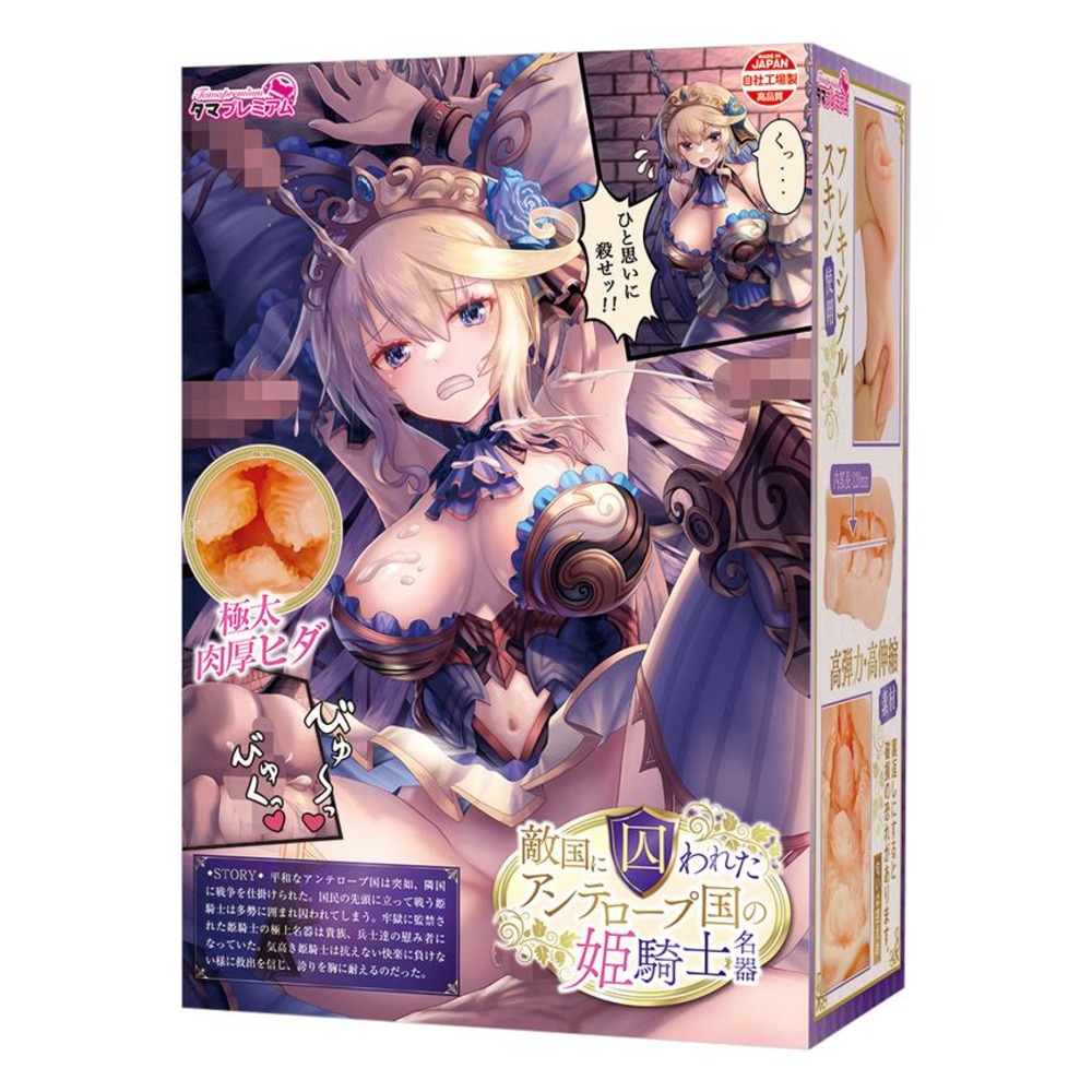 적국에 사로잡힌 엔틸로프 오아국의 공주 기사 명기